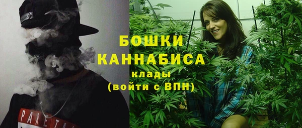 индика Наволоки