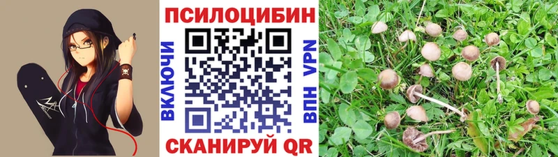 что такое   Энем  Псилоцибиновые грибы Psilocybine cubensis 
